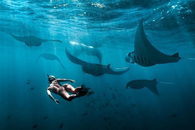 VIP Private Boat to Nusa Penida: Snorkeling with Mantas + Land Tour Adventure - Snorkeling around Nusa Penida: Manta Bay plus three reef stops