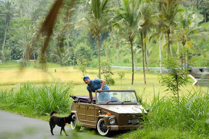 Visit Rice terrace, Beratan temple, waterfall by Vantage Volkswagen 181 - The morning flow: starting 8:00 am without feeling rushed