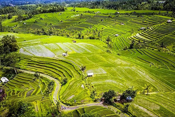 Visit Rice terrace, Beratan temple, waterfall by Vantage Volkswagen 181 - Stop 1: Nungnung Waterfall and what that “2 hours” buys you