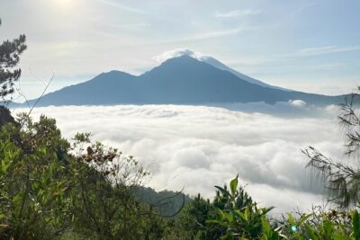 Volcano Bali Tour with Ubud Village - Tegenungan Waterfall - Rice Terrace - Pickup, driver, and the small-group comfort you’ll feel all day