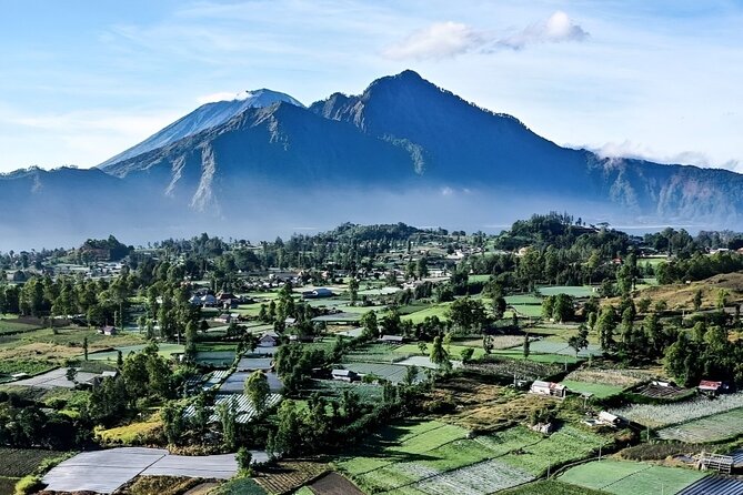 Volcano Bali Tour with Ubud Village - Tegenungan Waterfall - Rice Terrace - Tegalalang Rice Terrace: short visit, big visual payoff