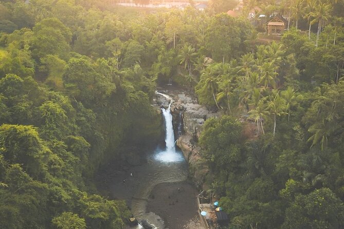 Volcano Bali Tour with Ubud Village - Tegenungan Waterfall - Rice Terrace - Ubud Palace and Traditional Art Market: free cultural stops that close the loop