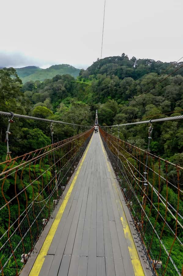 Volcano, Hot Spring, Mud Bath & Tea plantation all included - Kawah Putih and the tea-plantation climb: the first wow moment