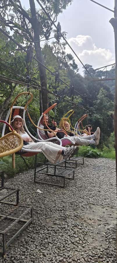 Volcano, Hot Spring, Mud Bath & Tea plantation all included - Price and value: why $69 can work well if you want packed variety