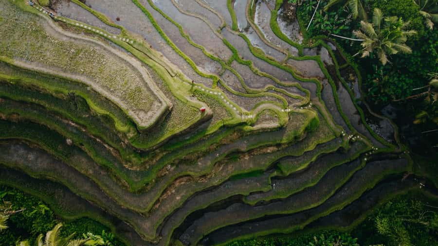 Wanderlust birthday photo and video with drone and Editing - Planning Your 2 Hours Around Bali Light and Good Angles