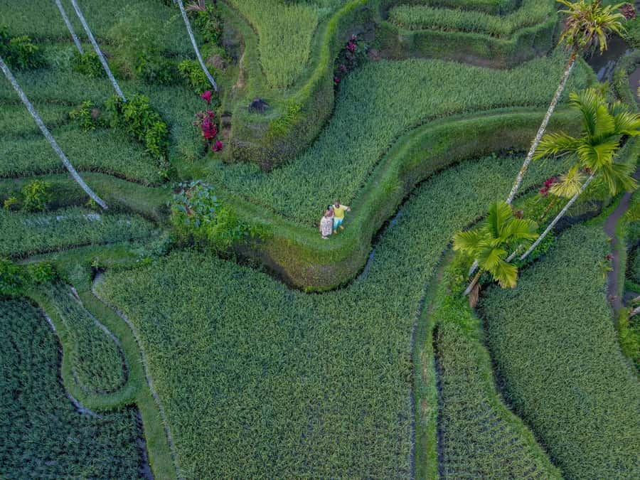 Wanderlust birthday photo and video with drone and Editing - Aloha Ubud Swing: The Signature Moment (and the Extra Fee)