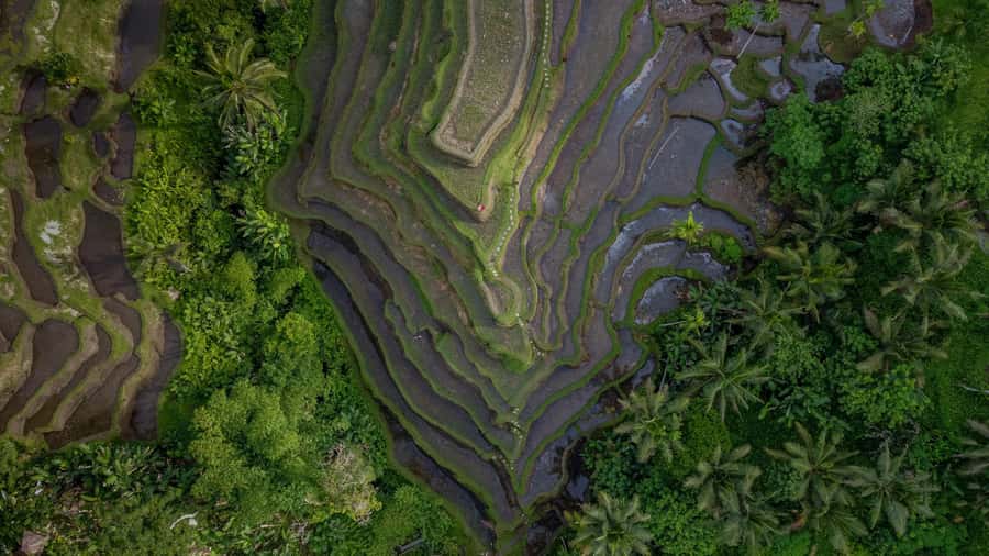 Wanderlust birthday photo and video with drone and Editing - The Drone Part: Aerial Shots That Actually Make a Difference