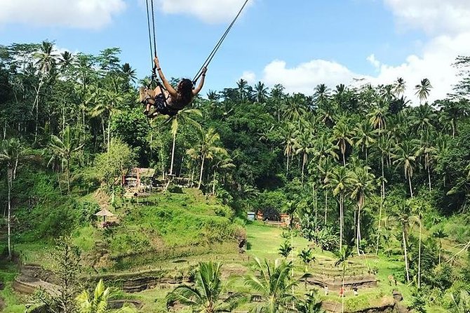 Water Rafting adventure with Jungle Swing & rice terraces - Your 8-hour flow: terraces, swing, and then the rapids