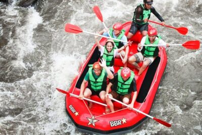Water Rafting adventure with Jungle Swing & rice terraces - Tegalalang Rice Terrace: big views without the hard work