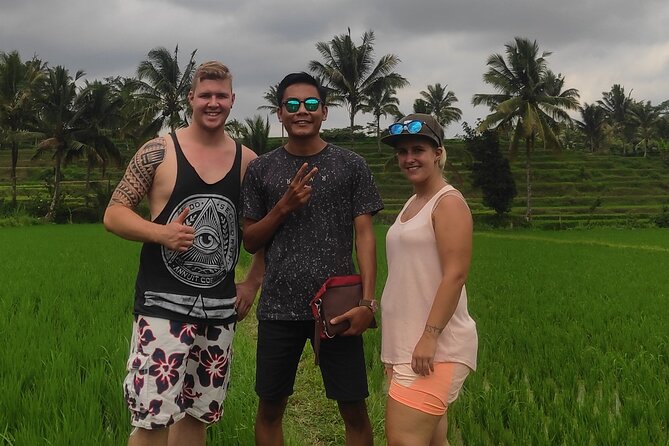 Waterfall Tour And Sasak Traditional Tour - Rice terraces on the journey: Lombok farming you can actually picture