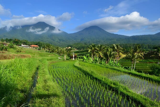 Waterfall Tour: North Bali Best Waterfalls - Wanagiri Coffee lunch over Lake Buyan and Lake Tamblingan