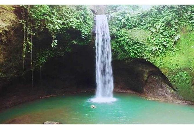 Waterfall Tour:Tegenungan-Kanto Lampo-Tukad Cepung and Tibumana- Free transport - Stop 1: Tegenungan Waterfall for a Quick Swim-and-Relax Start