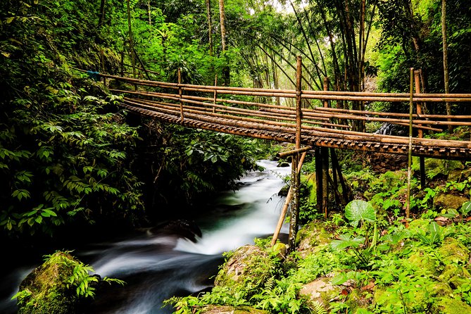 Waterfalls Tour - Getting from central Malang: pickup, timing, and how the day flows