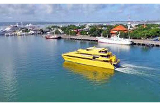 West Nusa Penida Full-Day Private Tour - Sanur port check-in and the ride back: why the ending feels long