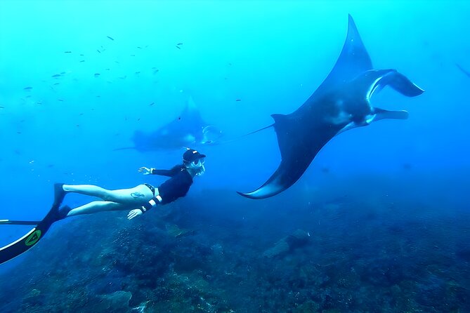 West Nusa Penida Island Snorkeling Tour - From Bali Island - Key points to know before you go
