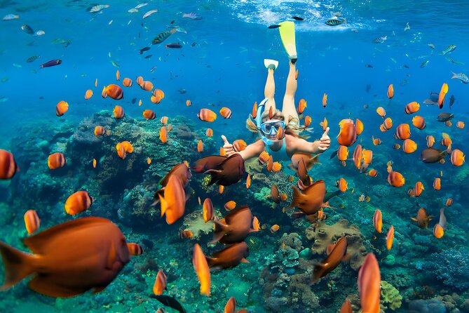 West Nusa Penida Island Snorkeling Tour - From Bali Island - West Nusa Penida snorkeling: Gamat Bay, Manta Bay, Crystal Bay