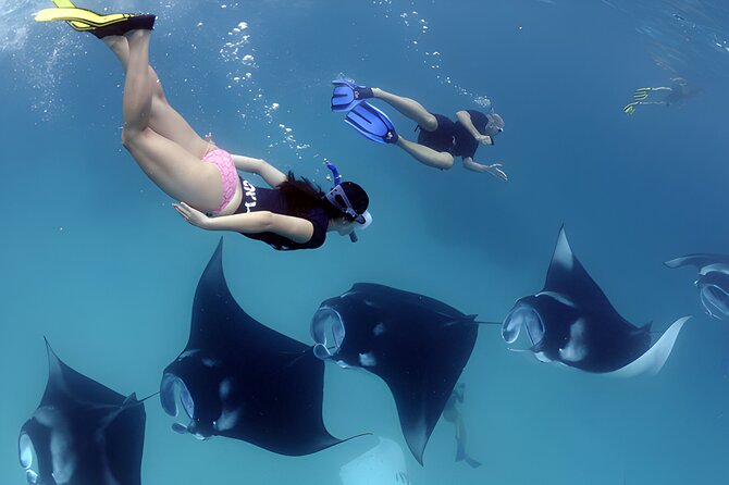 West Nusa Penida Island Snorkeling Tour - From Bali Island - Should you book West Nusa Penida snorkeling from Seminyak?