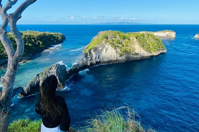 West Nusa Penida Island Tours From Lembongan - How the day moves: Lembongan pickup, Penida stops, and an all-day rhythm