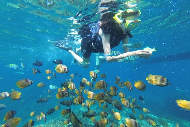 West Nusa Penida With Snorkeling Private Guided Tour - Key highlights (what I think you’ll notice fast)