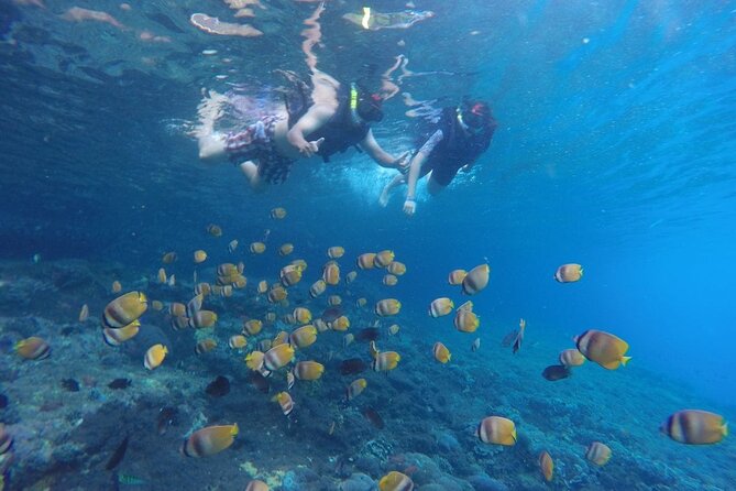 West Nusa Penida With Snorkeling Private Guided Tour - Snorkeling Schedule: Manta Point, Gamat Bay, and Crystal Bay