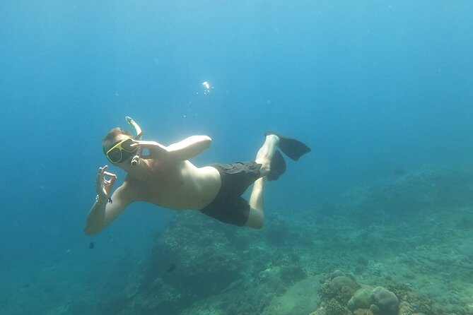 West Nusa Penida With Snorkeling Private Guided Tour - Gamat Bay: Coral, Color, and the Fish-Feeding Moment