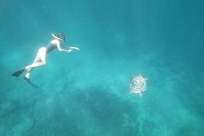 West Nusa Penida With Snorkeling Private Guided Tour - Manta Point: The Main Event and How to Set Expectations