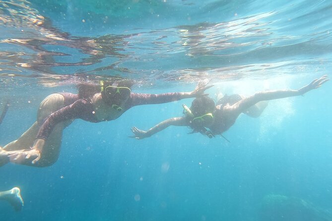 West Nusa Penida With Snorkeling Private Guided Tour - Crystal Bay: Turtle Chance and the Practical After-Snorkel Transfer