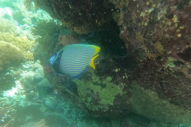 West Nusa Penida With Snorkeling Private Guided Tour - Angel’s Billabong and Broken Beach: Natural Formations, Wave Sound, Photo Angles