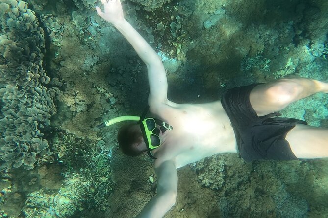 West Nusa Penida With Snorkeling Private Guided Tour - Lunch, Young Coconut, and Why This Tour Feels Like a Full Day (Not a Half-Day Scam)
