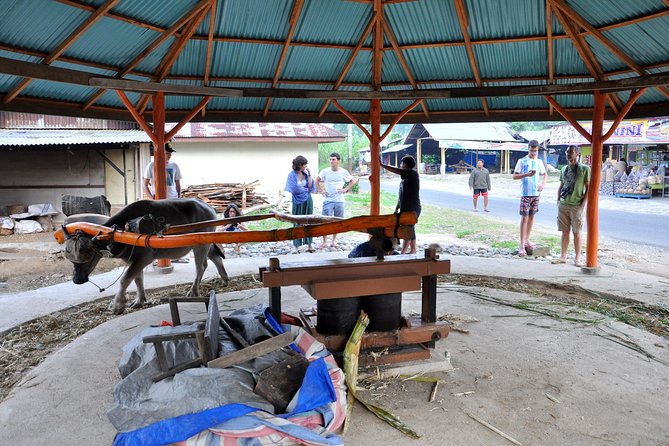 West Sumatra Cultural Tour With Accommodation 4 Days 3 Nights - A 4-day Minangkabau route that connects people, food, and scenery