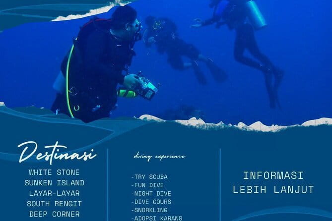 Whale Shark Adventure 2 Days 1 Night Sharing Trip - Underwater bonus: fish and coral reefs, not just a single sighting