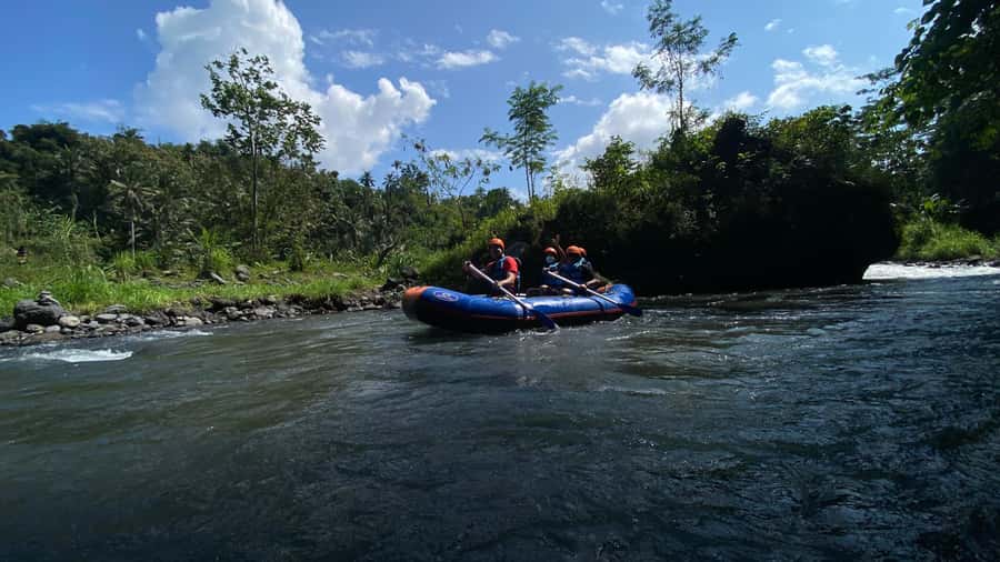 white water rafting telaga waja best of bali (no stairs) - Price and value: what $33 gets you in Bali
