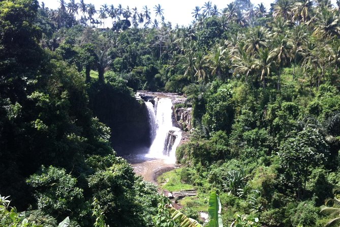 Wonderful Of Ubud Tours - Wood Carving and Batik Class Stop: A Quick Intro to Two Traditions