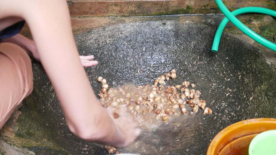 Yogakarta: Jamu Workshop with a Royal Healer’s Descendant - Practical Tips to Make It Smooth