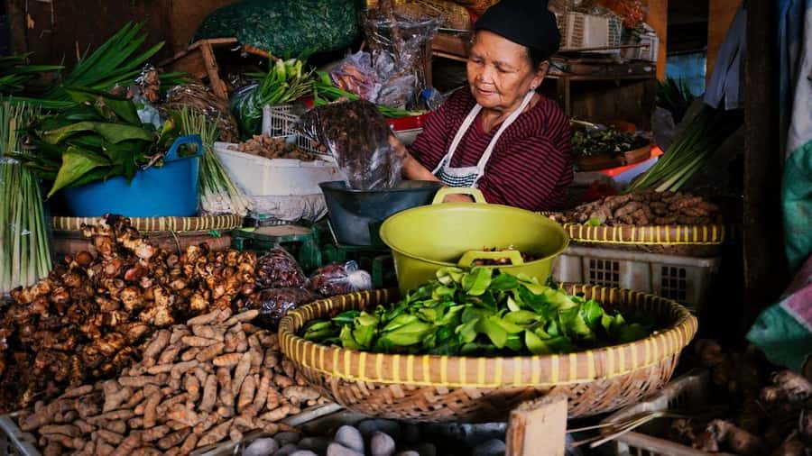 Yogakarta: Jamu Workshop with a Royal Healer’s Descendant - Start at the Local Market: Choosing Your Herbs Like a Healer