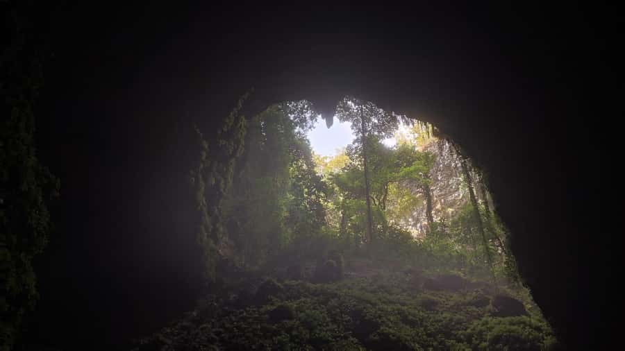 Yogayakarta : Jomblang Cave and Pindul Cave Tour - Safety and Rules: Follow Them and You’ll Enjoy More