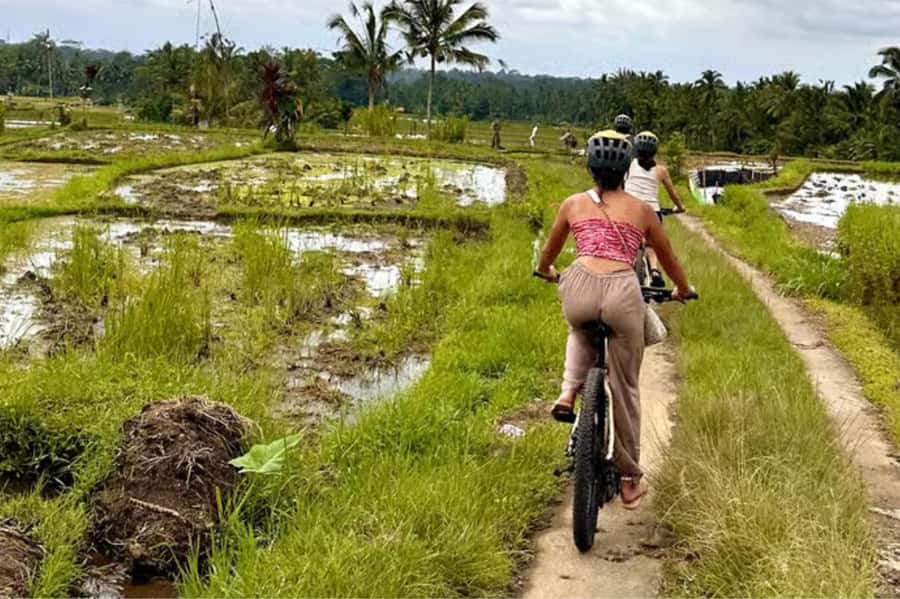 Yogyakarta: 3-Hour Bike Tour Through Villages with Transfers - Leaving Yogyakarta for quiet village roads
