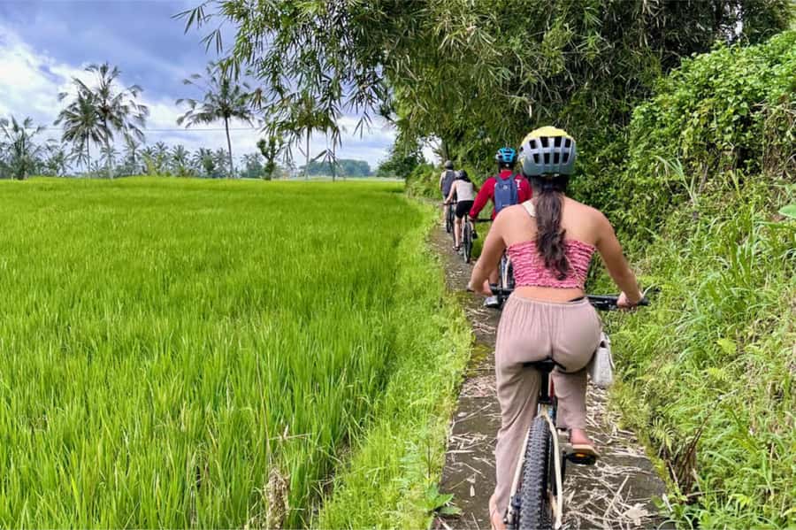 Yogyakarta: 3-Hour Bike Tour Through Villages with Transfers - Your guide matters: English support and the feel of safety