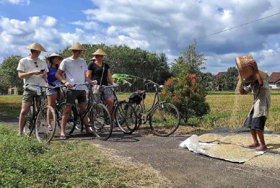 Yogyakarta: Countryside Village Cycling Tour With Guide - Starting in Yogyakarta: Pickup, Timing, and That Quiet Before the Ride