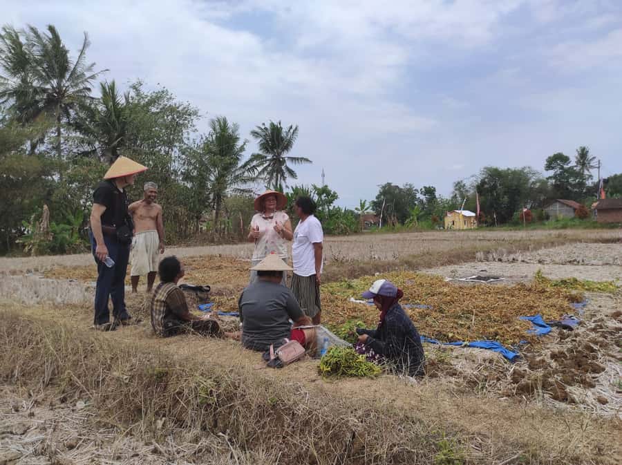 Yogyakarta: Countryside Village Cycling Tour With Guide - Tempeh From Soybeans: Banana Leaves, Patience, and Hands-On Food Traditions