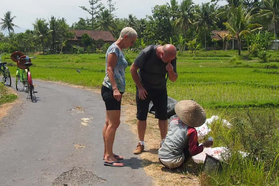 Yogyakarta: Countryside Village Cycling Tour With Guide - Riding Through Different Planting Seasons and Crop Types