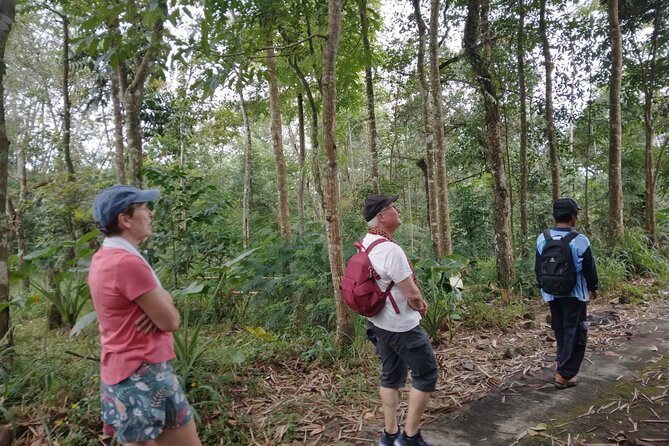 Yogyakarta Countryside Walking Tour - Lunch time at Kali Opak Resto before Prambanan