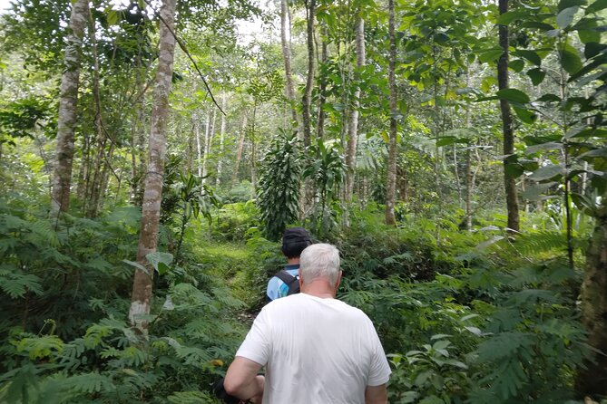 Yogyakarta Countryside Walking Tour - Timing and pacing: 5 to 6 hours that feel more like a morning/afternoon