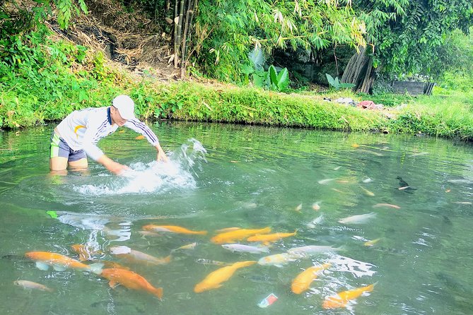 Yogyakarta Cycling Tour Around the Villages and Fish Farm - Your Guide Matters: Wardo’s Touch (and the Calm Pace It Creates)