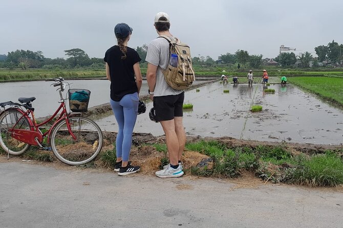 Yogyakarta Cycling Tour Around the Villages and Fish Farm - Timing, Meeting Point, and How Long You’ll Be Out