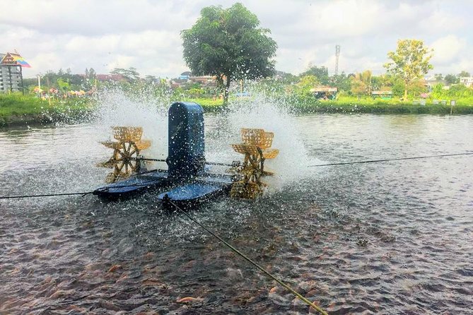 Yogyakarta Cycling Tour Around the Villages and Fish Farm - Practical Tips Before You Go (So You Can Enjoy It Fully)