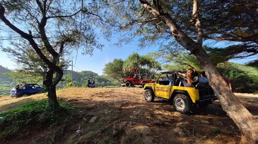 Yogyakarta: Explore Pindul Cave, Oyo River & Timang Beach - Oyo River: the 6-meter waterfall jump and outdoor swim reality check