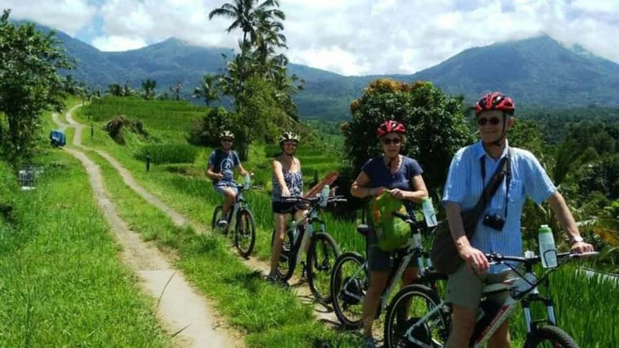 Yogyakarta: Half-Day Guided Bike City Tour - Price and Value: What $43 Buys (and What It Doesn’t)