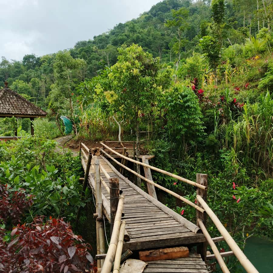 Yogyakarta: Hidden Paradise of Yogyakarta Waterfall & Swim - Key Things to Know Before You Go
