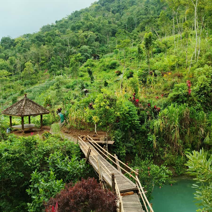 Yogyakarta: Hidden Paradise of Yogyakarta Waterfall & Swim - Kedung Pedut Waterfall: The Short Walk That Leads to a Swim-Ready Pool
